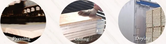product-677-183 product-677-183