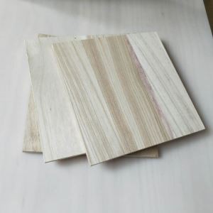 Paulownia brettbrett til salgs